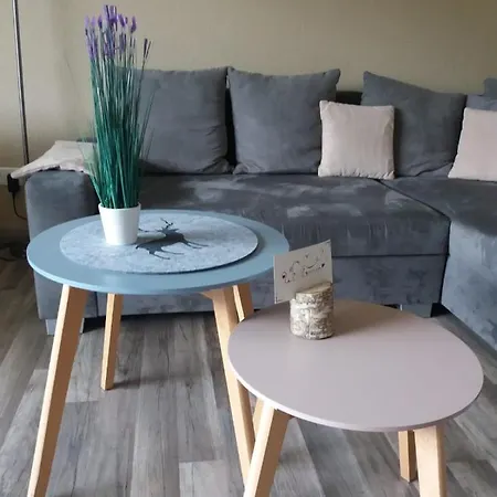 菲林沃法尔克酒店 * 施马伦贝格