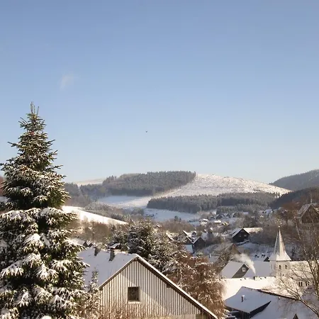 菲林沃法尔克酒店 *