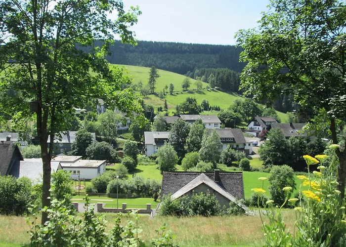 Appartement Ferienwohnung Falke Schmallenberg
