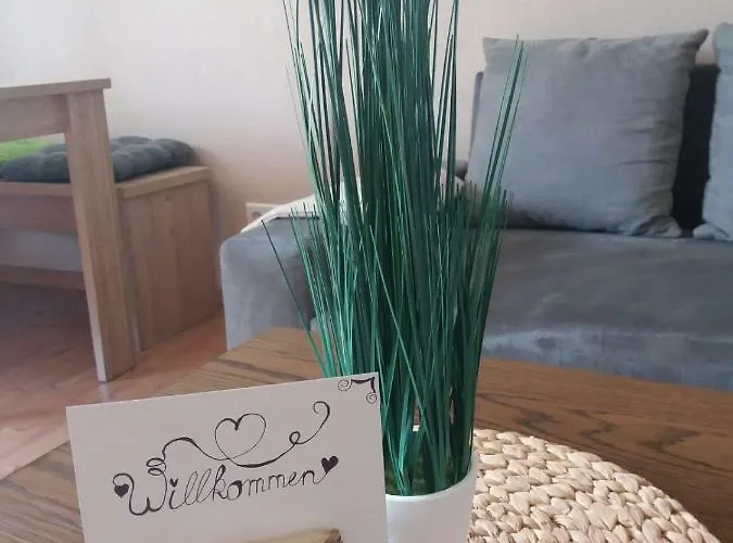 Appartement Ferienwohnung Falke